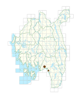 Pachysandra terminalis.png