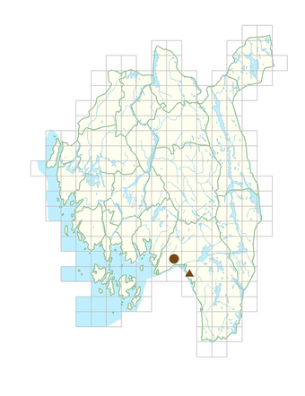 Pachysandra terminalis.png