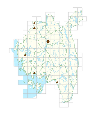Paeonia officinalis.png