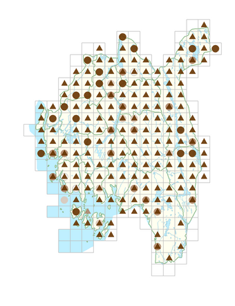 Paris quadrifolia.png