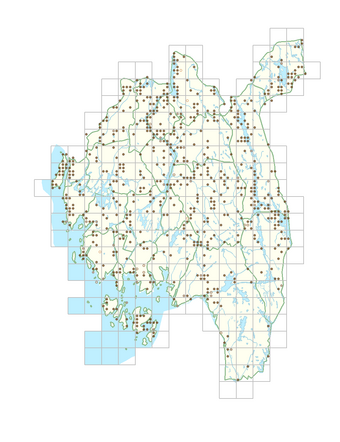 Paris quadrifolia 1.png