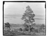 63. Parnorama over an mindre by - NB MS G4 0880.jpg