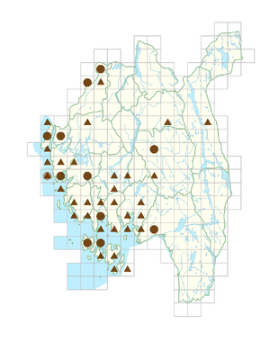 Parthenocissus inserta.png