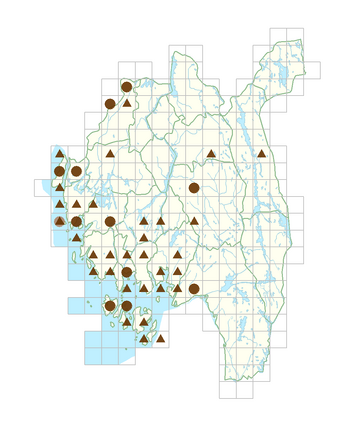 Parthenocissus inserta.png