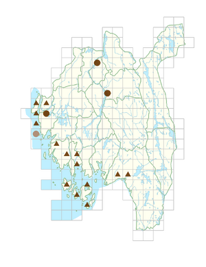 Parthenocissus quinquefolia.png