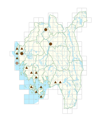 Parthenocissus quinquefolia.png