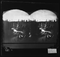 89. Parti av Eiteraahullet, Mo. Stereoskop - NB bldsa OTO0750 A.jpg