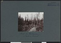 22. Parti fra Rustanveien i Modums finmark - no-nb digifoto 20160317 00223 bldsa NGU0068.jpg