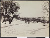 109. Parti nær Fjøsanger ved Bergen - no-nb digifoto 20160303 00088 bldsa L KK0248.jpg