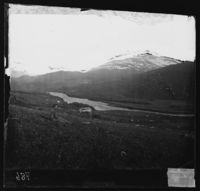 122. Parti ved Bjeldaanes - NB bldsa OTO0786 A.jpg