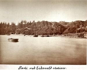 Parti ved Eidsvold station.jpg