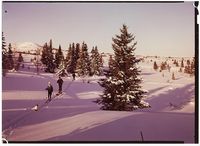 78. Parti ved Gurisett, Golsfjellet. - no-nb digifoto 20160511 00307 NB NKF P 04 07 032.jpg