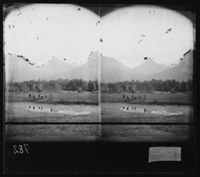 36. Parti ved Kobvand - NB bldsa OTO0782 A.jpg