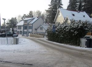 Pasoplia Oslo 2014.jpg