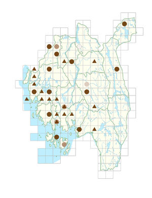Pastinaca sativa var. hortensis.png