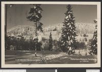 104. Pattersons Høsbjør Turisthotel pr. Hamar - no-nb digifoto 20150812 00026 bldsa PK26182.jpg