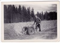 Paul Paulsberg med en tohjulstraktor på jordet i Paulsberg. Foto: Ukjent, ca 1950