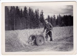 Paul Paulsberg med tohjulstraktor antagelig omkring 1950.jpg