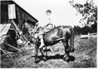 Borghild Paulsberg på hesten foran låvebrua på Stensli. Foto: bilde fra Laila Paulsberg (Lier), antagelig på 1940 tallet