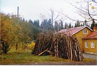 Vedstabel i Paulsberg. Hugget i egen skog, tørket og dratt til gårds klar til å kappes i biter på den elektriske sirkelsagen som stod i skålen (i låven). Foto: Solveig Grønnerud, 1980