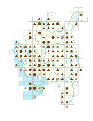 Persicaria amphibia.png