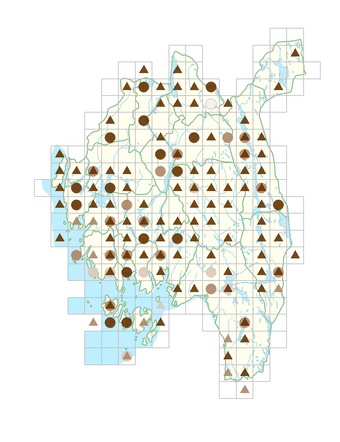 Persicaria amphibia.png