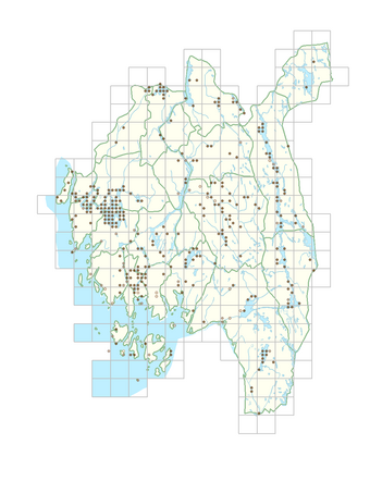 Persicaria amphibia 1.png