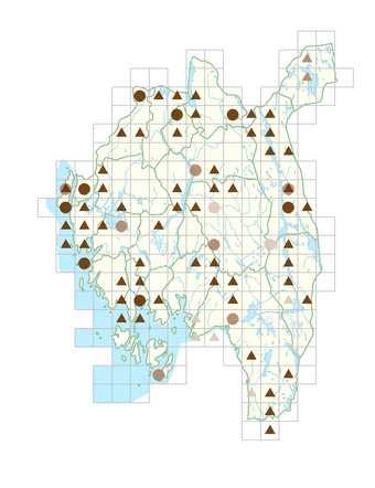 Persicaria lapathifolia subsp. lapathifolia.png