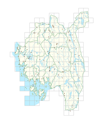 Persicaria lapathifolia subsp. lapathifolia 1.png