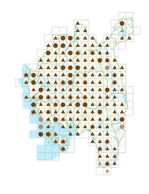 Persicaria lapathifolia subsp. pallida.png
