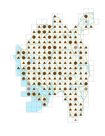 Persicaria lapathifolia subsp. pallida.png