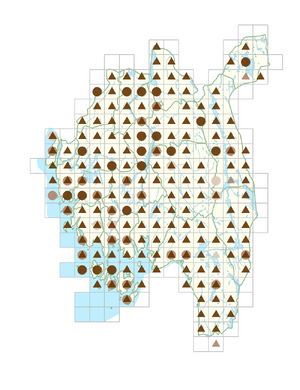 Persicaria maculosa.png