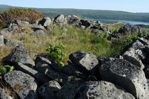 Perstoelen steinbu.jpg