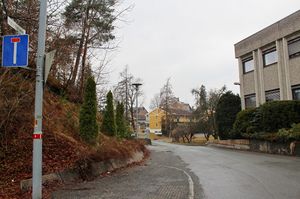 Peterhofveien Bærum 2016.jpg