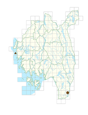 Petrosedum forsterianum.png