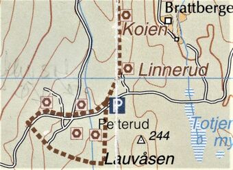 Petterud nedre Brandval vestside kart 2002.jpg