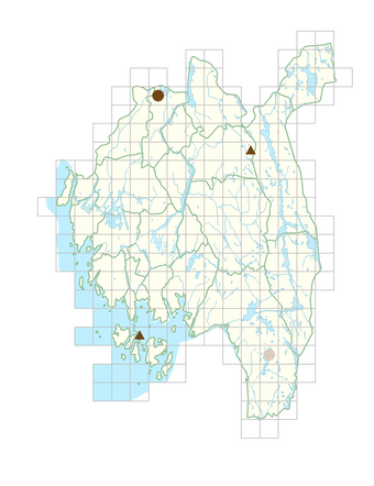 Peucedanum ostruthium.png
