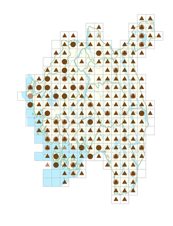Peucedanum palustre.png
