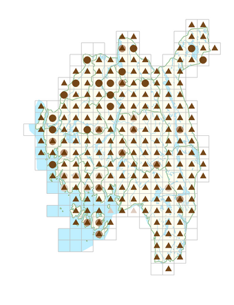 Phleum pratense subsp. pratense.png