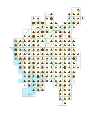 Phragmites australis.png