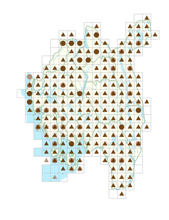 Phragmites australis.png