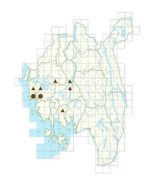 Picea sitchensis.png