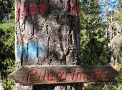 Fra Pilegrimsleden over Gjelleråsen.