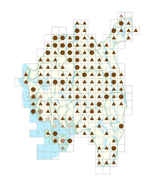 Pilosella lactucella.png