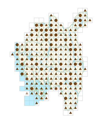 Pilosella officinarum.png