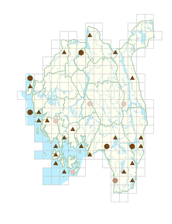 Pilosella peleteriana subsp. peleteriana.png