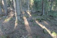 Fra stedet. Foto: Chris Nyborg (2013).