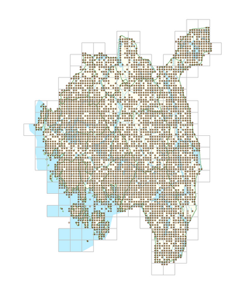 Pinus sylvestris subsp. sylvestris 1.png