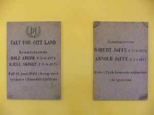 Plaketter Gjøvik vgs.JPG