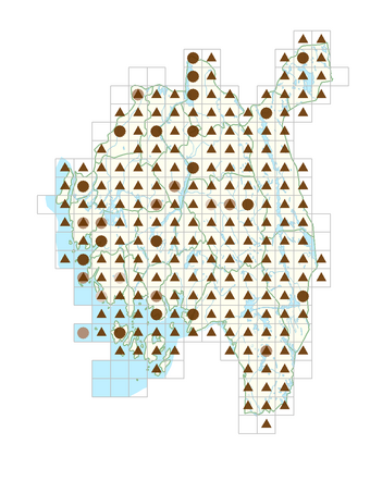 Plantago major subsp. major.png